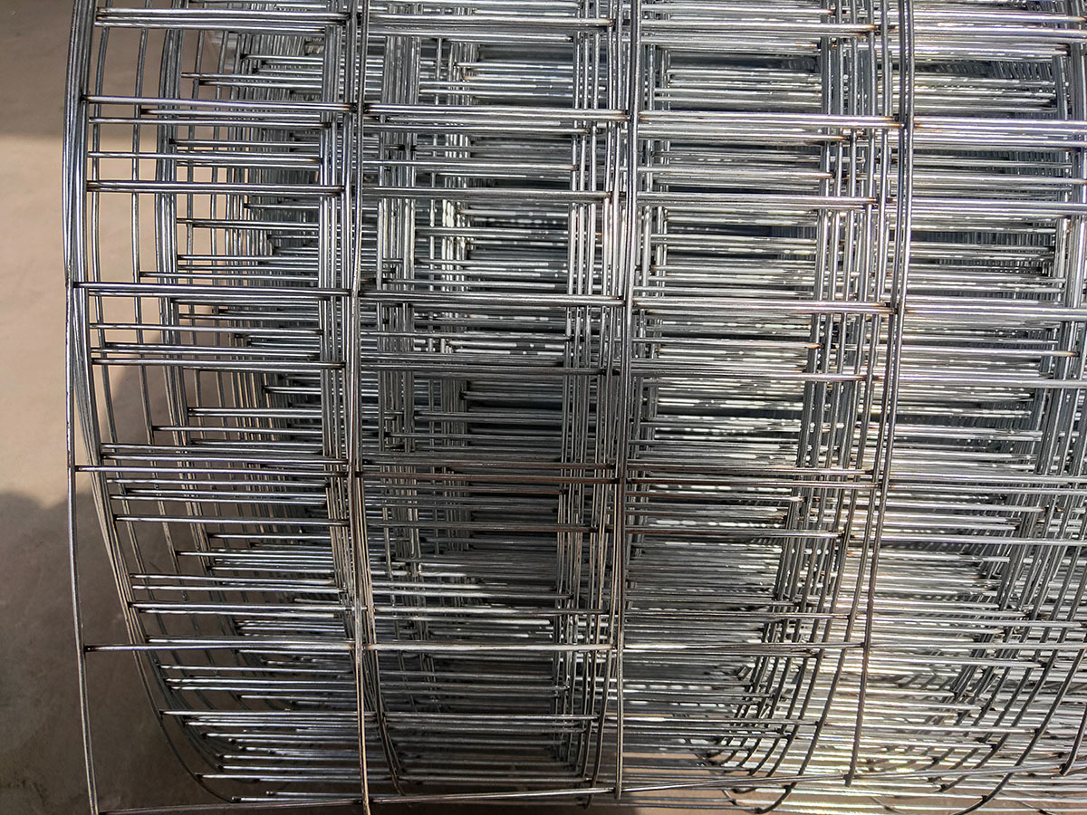 Welded Wire Mesh