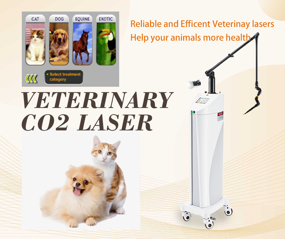 FAQ for Veterinary CO2 Laser