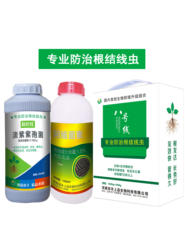 八号线