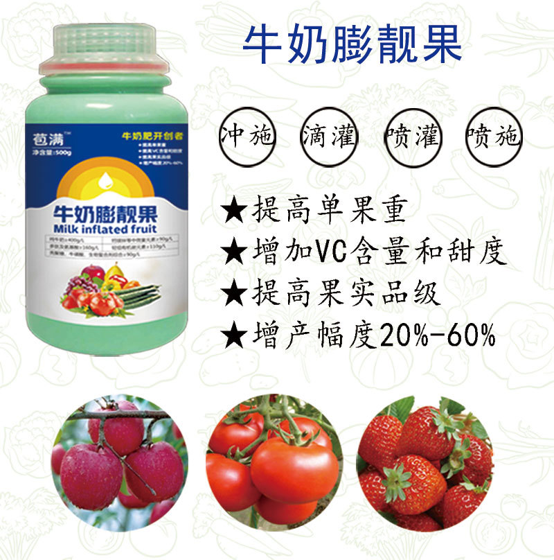 牛奶肥-牛奶膨靓果