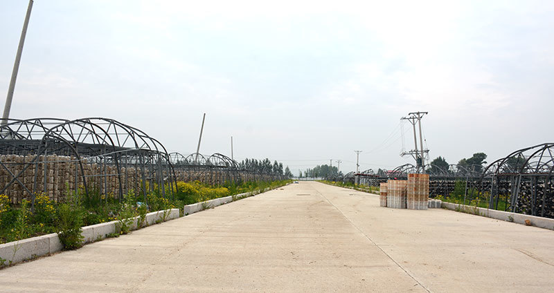 生產基地6
