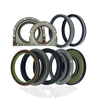 Auto & Truck Oil Seal