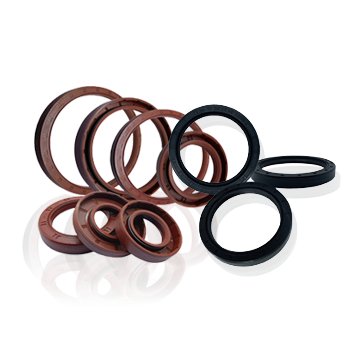 TC/TG Oil Seal