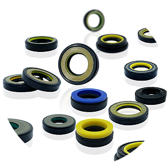 Power Steering Oil Seal