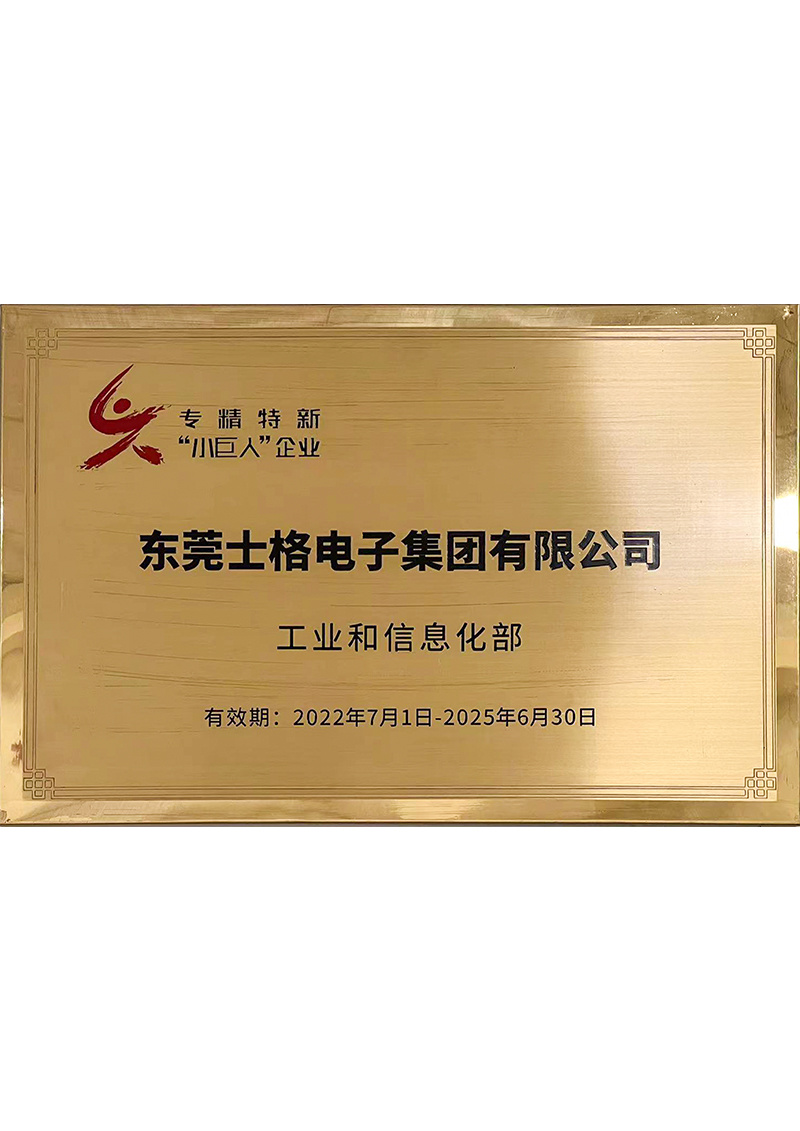 專精特新 “小巨人”企業 專精特新 “小巨人”企業