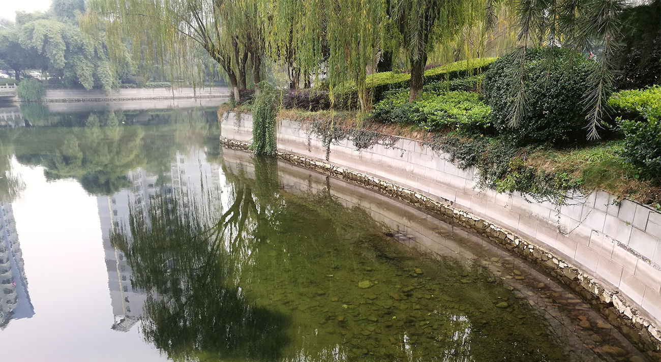 澧县河湖水网连通生态水利工程