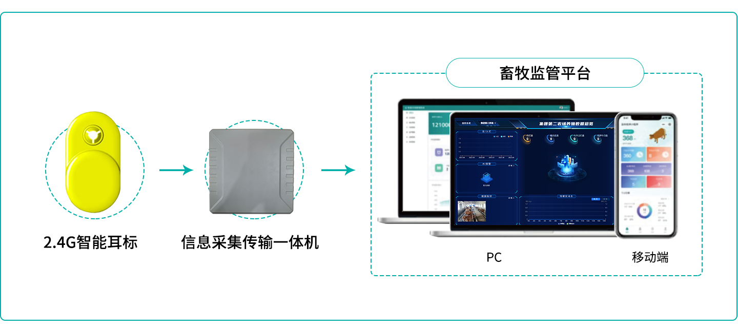 解决方案