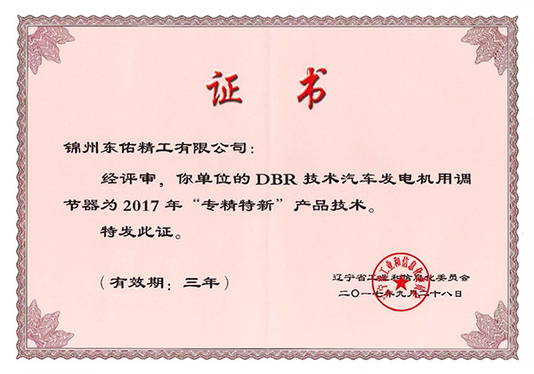 Specializing in new product technology: DBR technology, regulator for automotive generators Specializing in new product technology: DBR technology, regulator for automotive generators