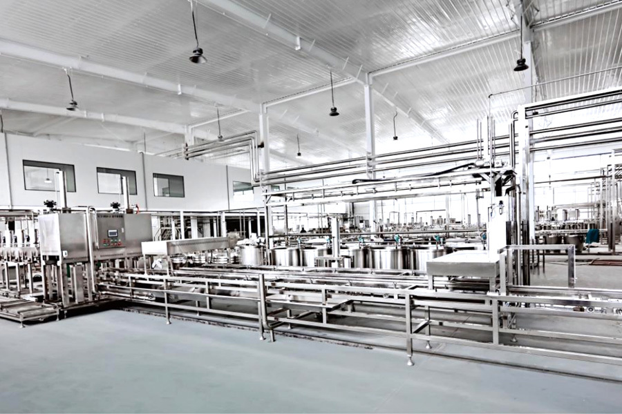 Sufu automatic production line equipment