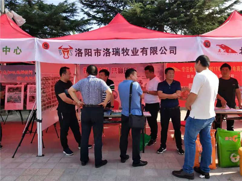 洛陽洛瑞組團(tuán)參加第十四屆中國牛業(yè)發(fā)展大會暨首屆平?jīng)黾t牛節(jié)