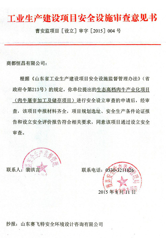 工业生产建设项目安全设施审查意见书 工业生产建设项目安全设施审查意见书