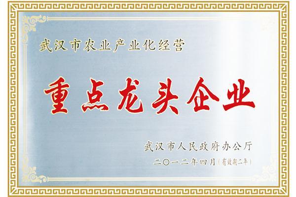 重點(diǎn)龍頭企業(yè)