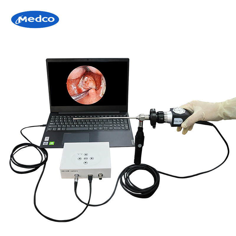 Endoscope