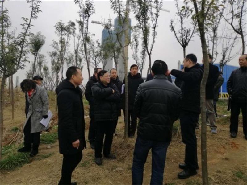 宜昌市水電局領(lǐng)導(dǎo)視察三峽后續(xù)二期河道治理工程一標段