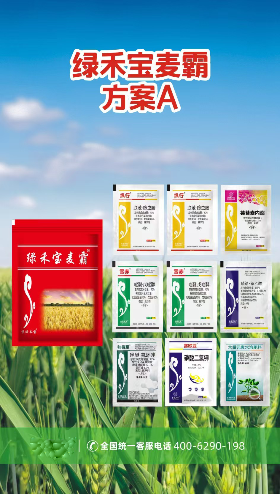 綠禾寶麥霸方案A