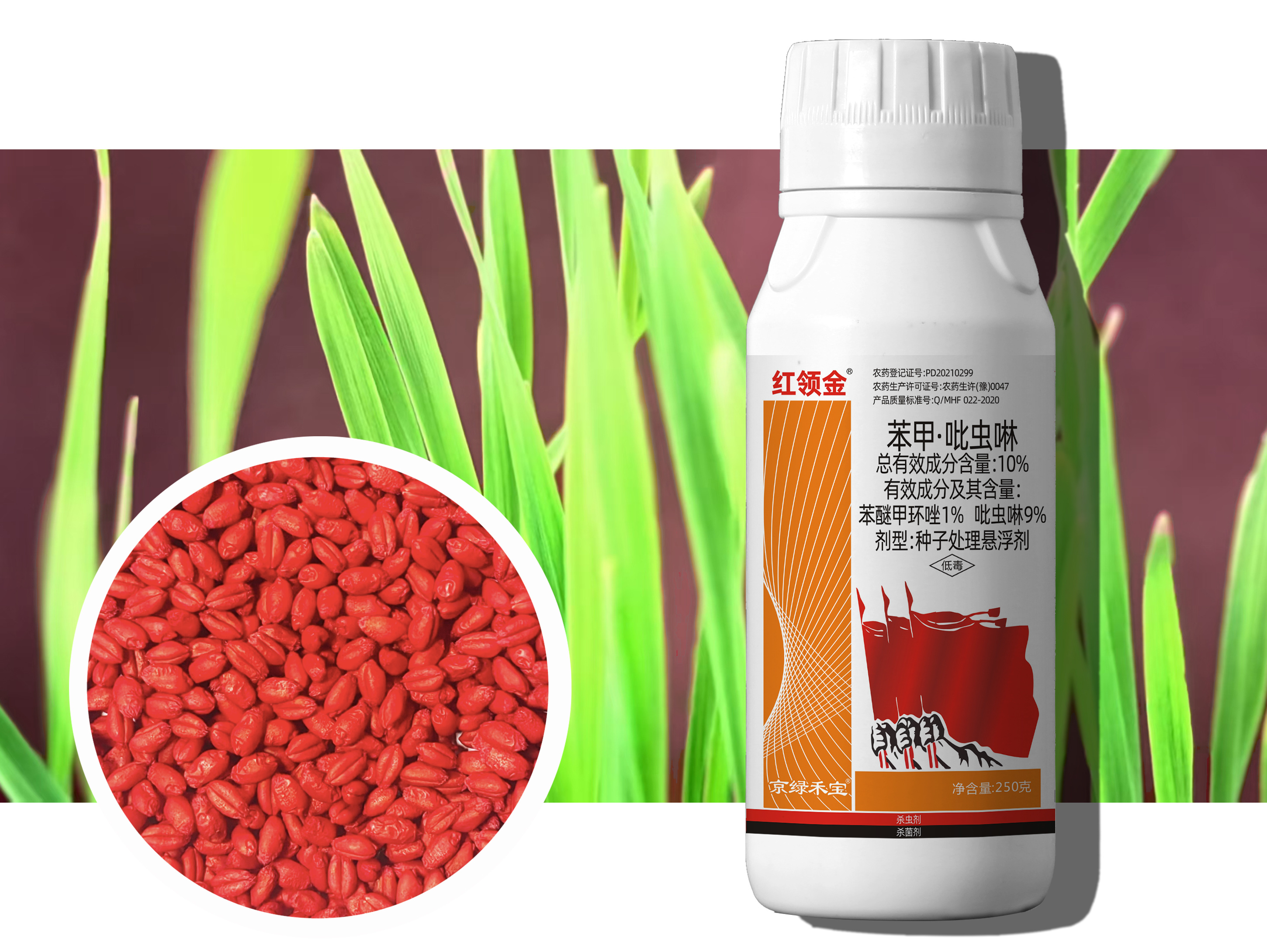 小麥拌種劑—紅領(lǐng)金--10%苯甲·吡蟲(chóng)啉  種子處理懸浮劑