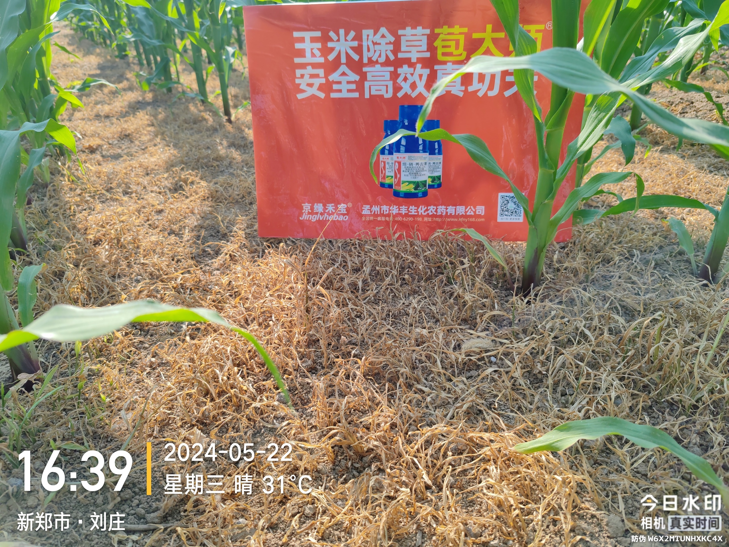 苞大師效果見(jiàn)證