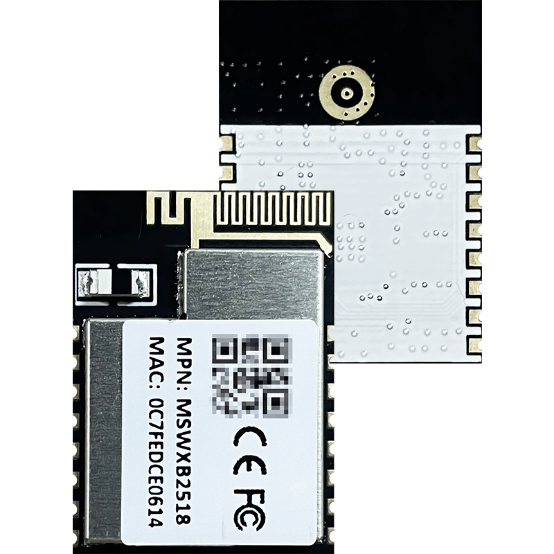 MSWXB2518