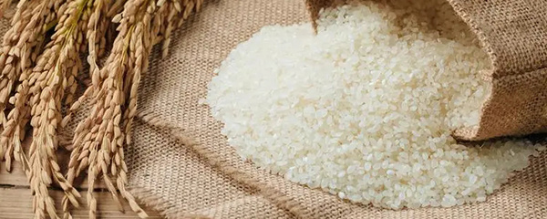 热烈祝贺海安市江山米业有限公司网站上线！