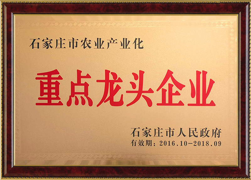 资质荣誉