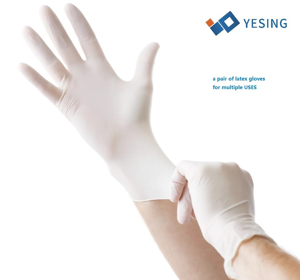 Buy Latex Gloves Disposable Sterile  Powdered Powder-free for Hospital Home care Food service Beauty industries