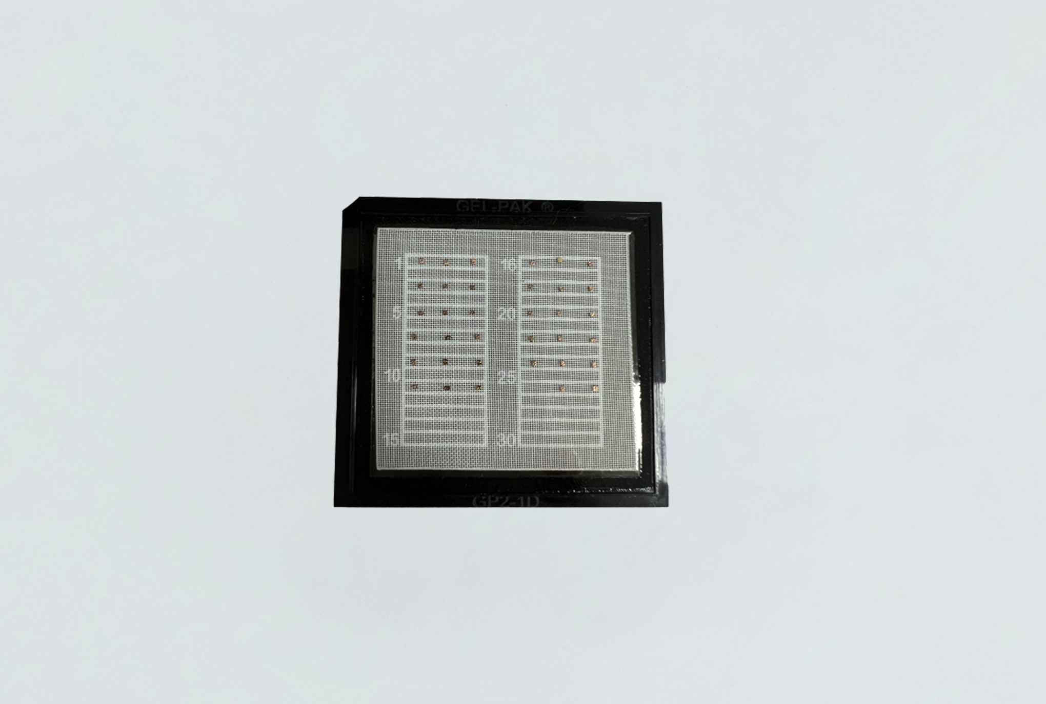 VCSEL Structured Light Chip