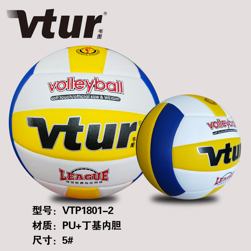 Hand Post Volleyball VTP1801-2