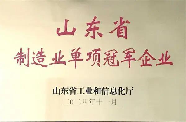 山東省制造業(yè)單項(xiàng)冠軍企業(yè) 山東省制造業(yè)單項(xiàng)冠軍企業(yè)