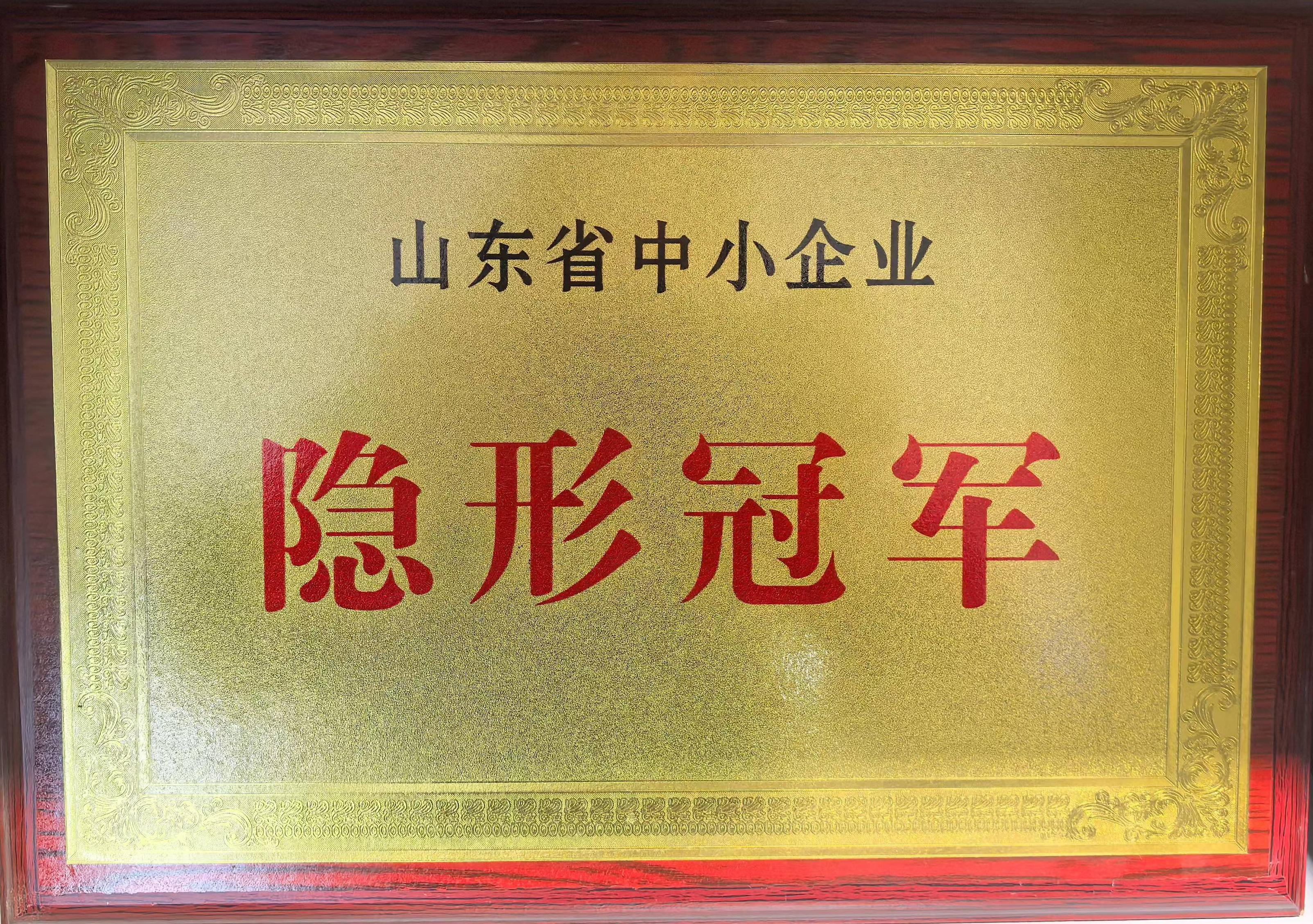 山東中小企業(yè)隱形冠軍 山東中小企業(yè)隱形冠軍