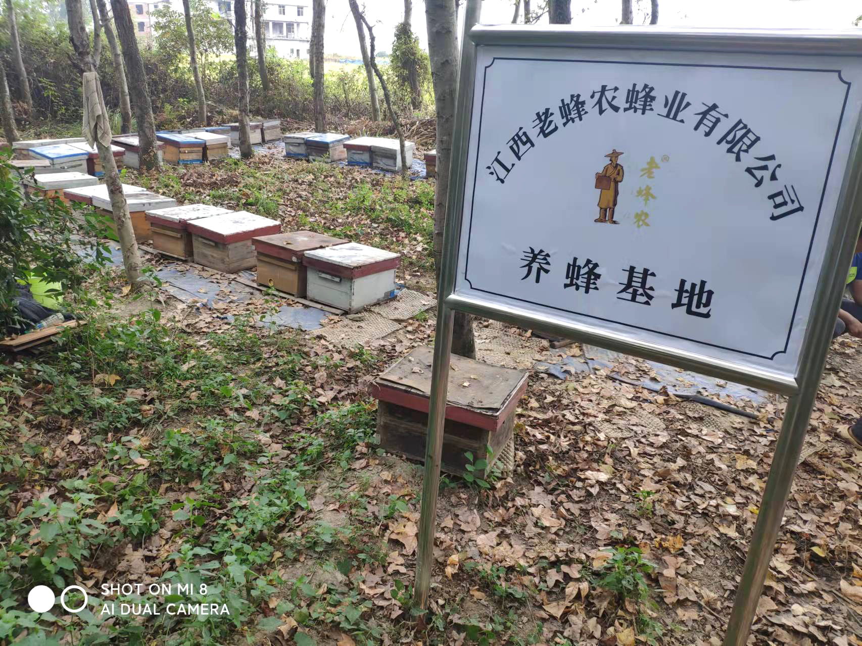 圖片名稱