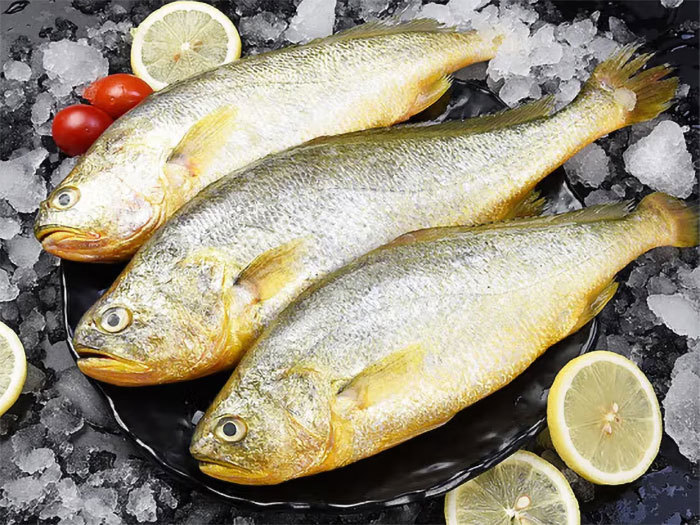 冷凍黃魚
