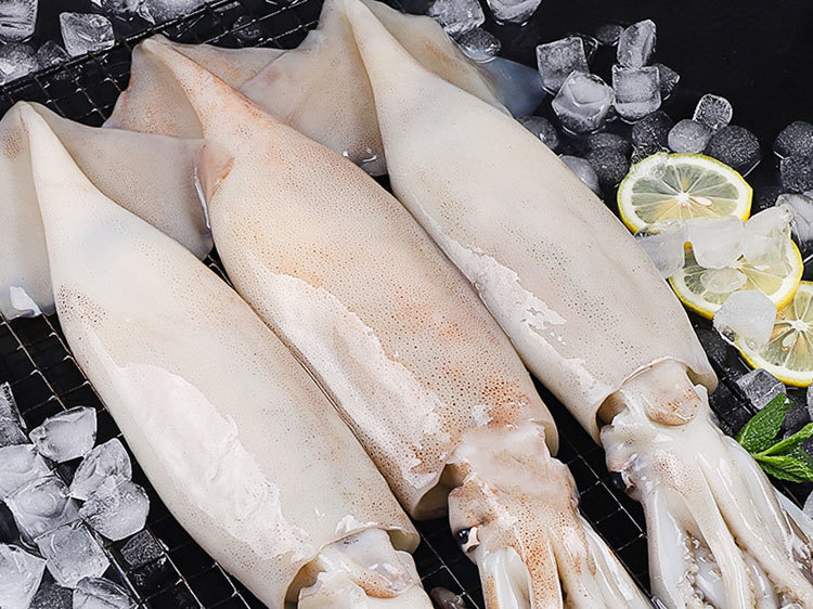 冷凍魷魚