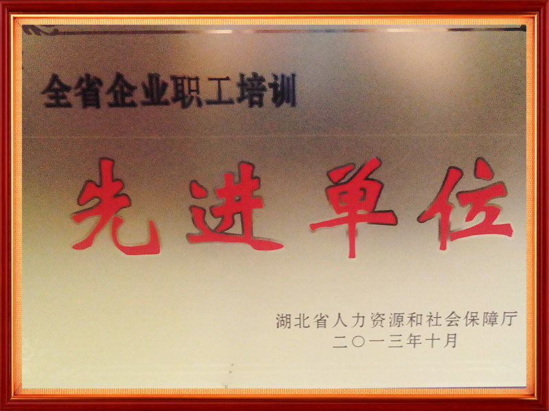 2013年 培训先进单位(省级) 2013年 培训先进单位(省级)