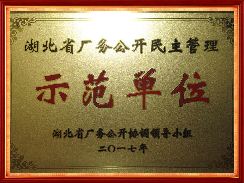 2017年 湖北省厂务公开民主管理示范单位(省级) 2017年 湖北省厂务公开民主管理示范单位(省级)