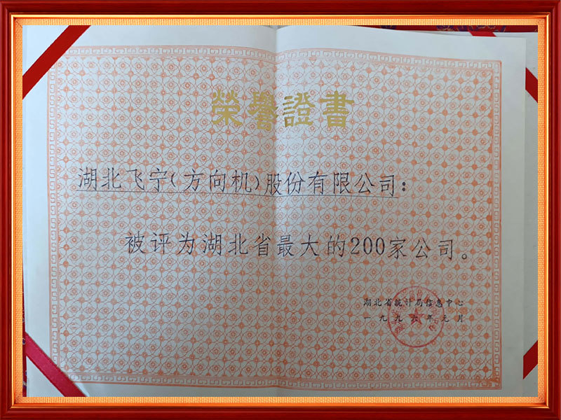 1996年 湖北省最大的200家公司(省级) 1996年 湖北省最大的200家公司(省级)