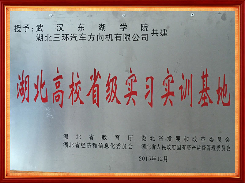 2015年 湖北高校省级实习实训基地(省级) 2015年 湖北高校省级实习实训基地(省级)