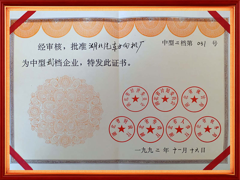 1992年 中型二档企业(省级) 1992年 中型二档企业(省级)