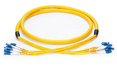 Multi-core bundle branch jumper