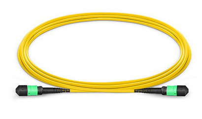 MPO- Main cable jumper