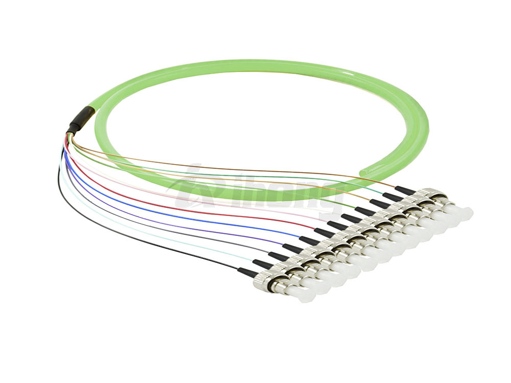 FC12芯多模OM5束状光纤尾纤