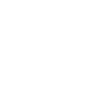 女式紧身裤