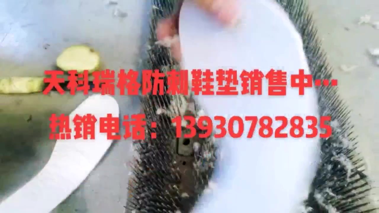 澳门厦门免费资料材料大全