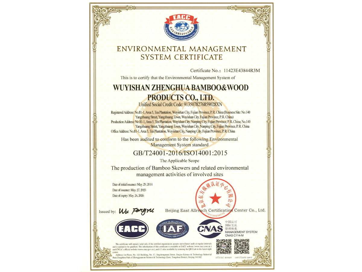 ISO 14001 En