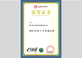 2021年度十大卓越品牌 2021年度十大卓越品牌