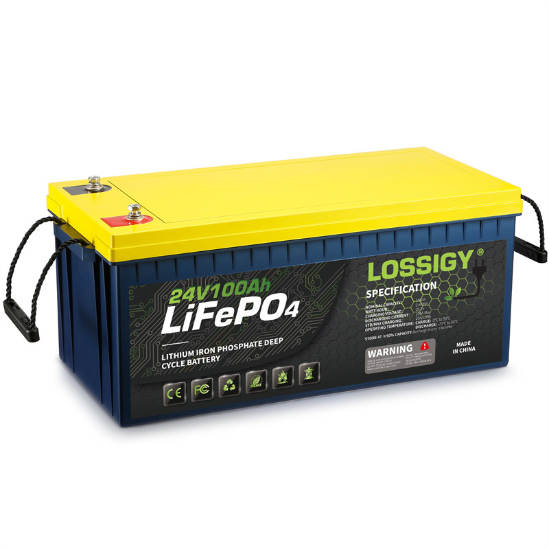 24V 100AH Lifepo4 Battery( Built in 100A BMS, 2560WH), 10 Year