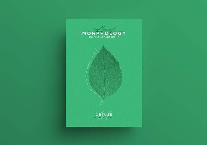 图片名称 图片名称