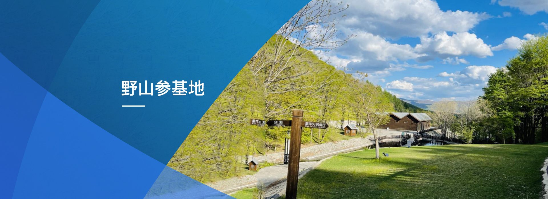野山參文化