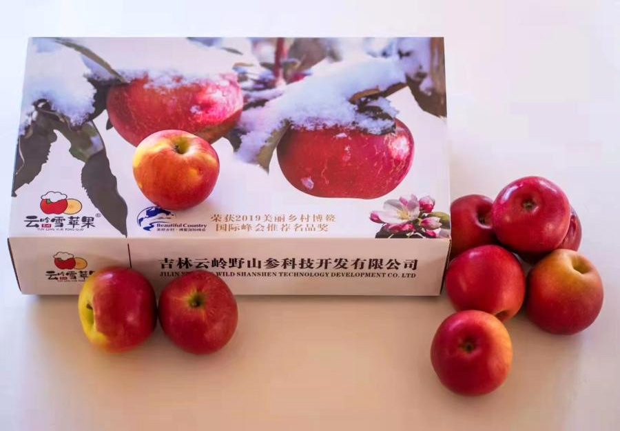 云嶺雪蘋果