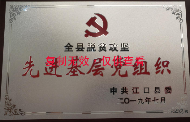 先進基層黨組織