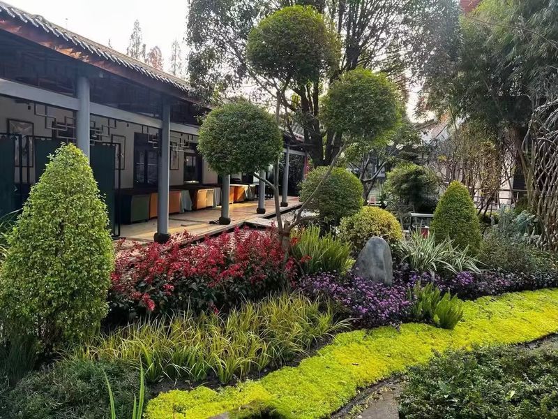 案例展示